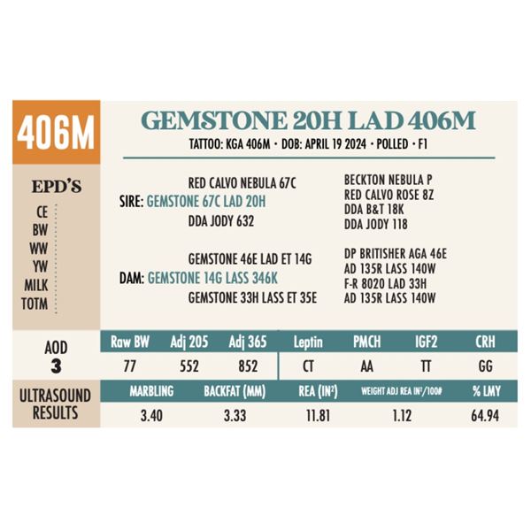 GEMSTONE 20H LAD 406M