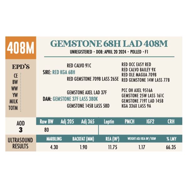 GEMSTONE 68H LAD 408M