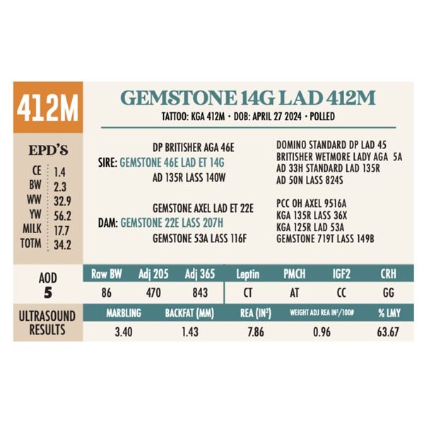 GEMSTONE 14G LAD 412M