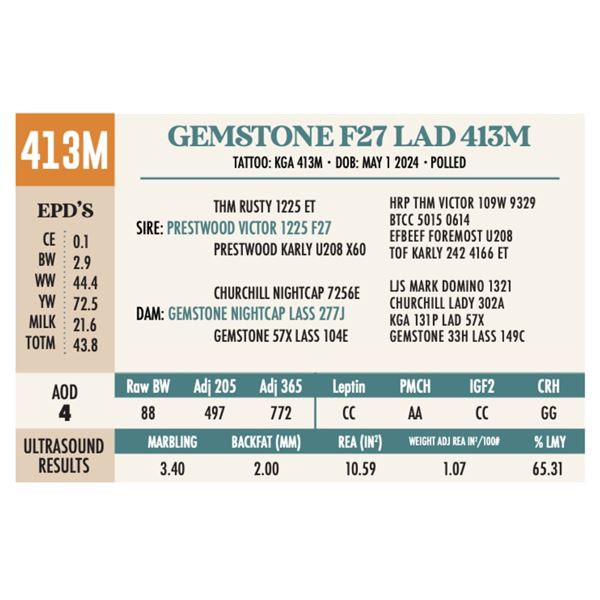 GEMSTONE F27 LAD 413M