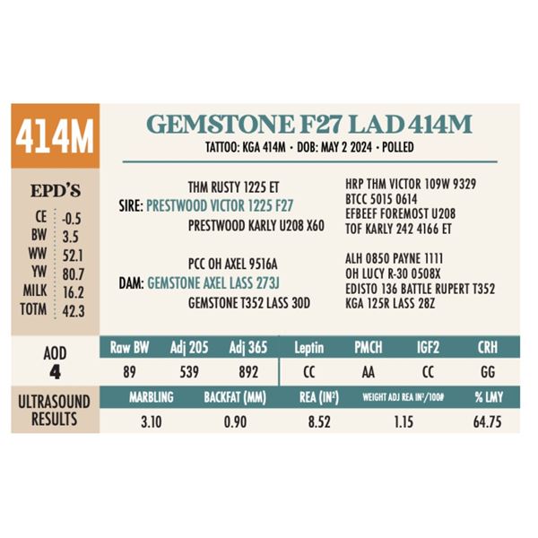 GEMSTONE F27 LAD 414M