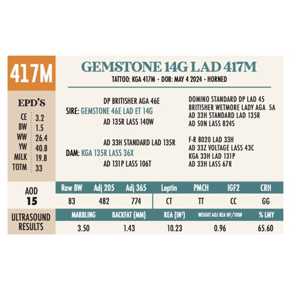 GEMSTONE 14G LAD 417M