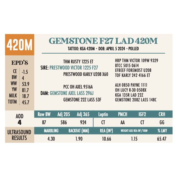 GEMSTONE F27 LAD 420M