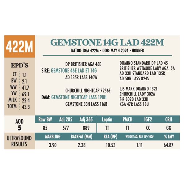 GEMSTONE 14G LAD 422M