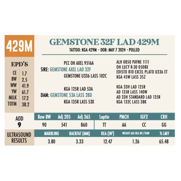 GEMSTONE 32F LAD 429M