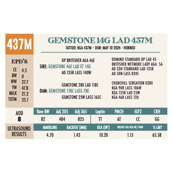 GEMSTONE 14G LAD 437M