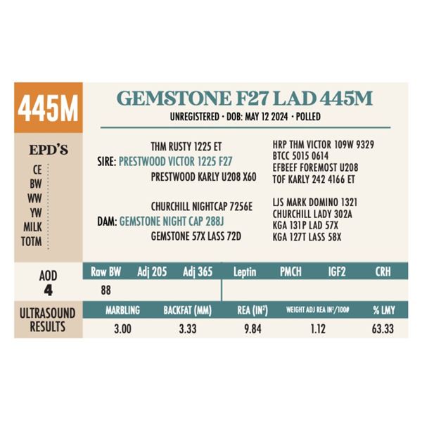 GEMSTONE F27 LAD 445M