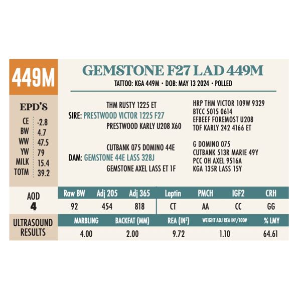 GEMSTONE F27 LAD 449M