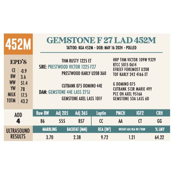OUT - GEMSTONE F 27 LAD 452M