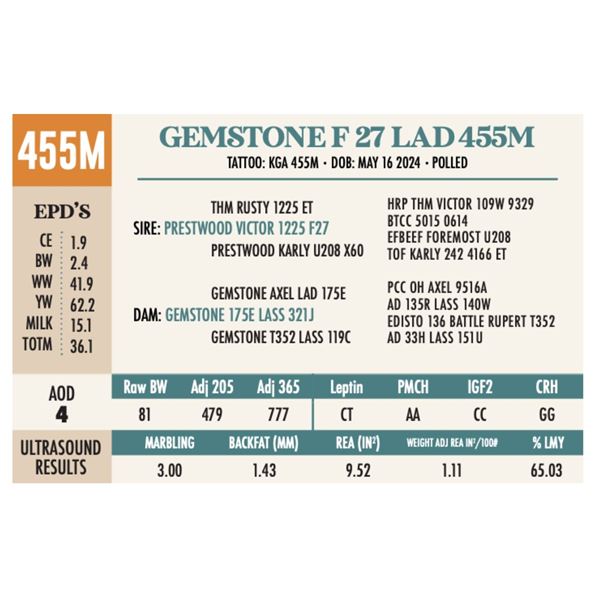 GEMSTONE F 27 LAD 455M