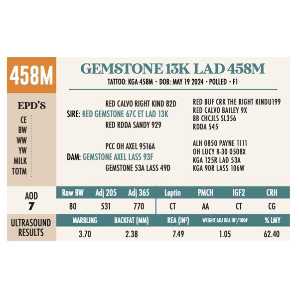 GEMSTONE 13K LAD 458M