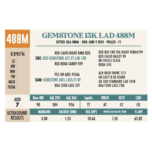 GEMSTONE 13K LAD 488M