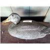 Image 1 : Plastic  Decoy Black Duck