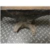 Image 6 : Large Anvil