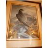 Image 1 : Framed, Signed, The Peregrine Falcon Print