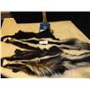 Image 1 : 2-Skunk Pelts