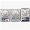 Image 2 : [3] 2011-2021 Silver Eagle NGC,PCGS MS69/70 Type 1