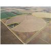 Image 1 : 152 +/- Acres of Irrigated Crop Land