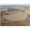 Image 2 : 152 +/- Acres of Irrigated Crop Land