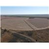 Image 4 : 152 +/- Acres of Irrigated Crop Land