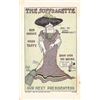 Image 2 : 2 Walter Wellman "The Suffragette" Postcards