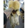 Image 2 : COYOTE SKIN HAT