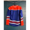 Image 2 : Lot of 1 Edomonton Oilers Jersey - Size Small
