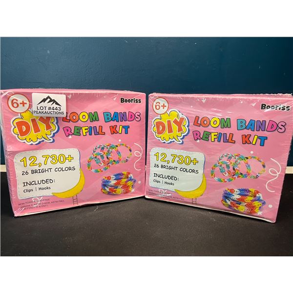 Lot of 2 Boxes of DIY Loom Bands - 12,730+ Bands/26 Colours in Each Box!