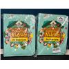 Image 1 : Lot of 2 Animal Crossing Inspired Leather Binders - For Storing NFC Cards or Amiibo Cards!