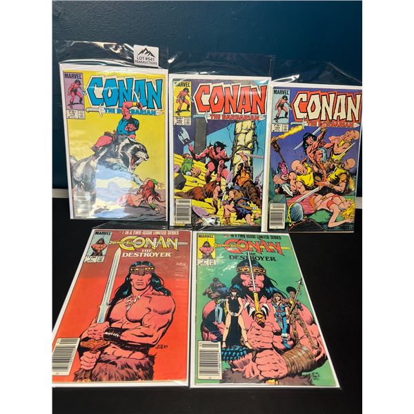 Lot of 5 Assorted King Conan Comics