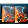 Image 2 : Lot of 2 Leather Pokemon Premium Card Binders