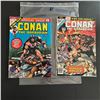 Image 1 : Conan the Barbarian Annual 1 & 2