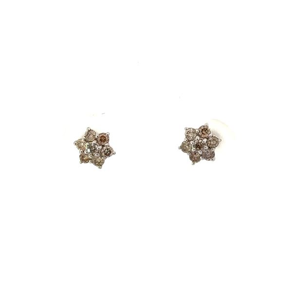 Diamond Fleurette  Endless Circle  Earrings