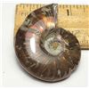 Image 1 : 19)  COMPLETE RED FIRE IRRIDESCENT AMMONITE