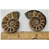 Image 1 : 18)  COMPLETE SPLIT AMMONITE FOSSIL SPECIMEN, 21