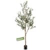 Image 1 : NEW UNBOXED LYERSE 6 FOOT FAUX OLIVE TREE WITH