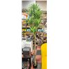 Image 1 : NEW SOGUYI 6 FOOT FAUX DRACAENA PLANT WITH POT