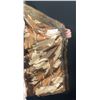 Image 3 : Beaver Fur Coat, Purchased Early 2000's, Size 7