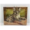 Image 1 : Val Warner '09, Val 4/15, Cougar Kitten, 14L x 11W