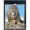 Image 1 : Val Warner '10, "Mufasa" Limited Edition 15/15 Print 28L x 35W