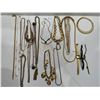 Image 1 : Costume Jewelry Assortment
