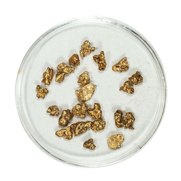 Gold Nuggets 3.26 Grams Total Weight