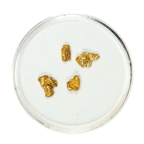 Lot of Gold Nuggets 1.64 Grams Total Weight