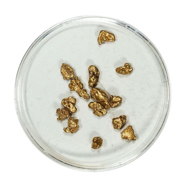 Gold Nuggets 2.49 Grams Total Weight