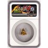 Image 2 : 2.73 Gram Yukon Gold Nugget NGC Graded