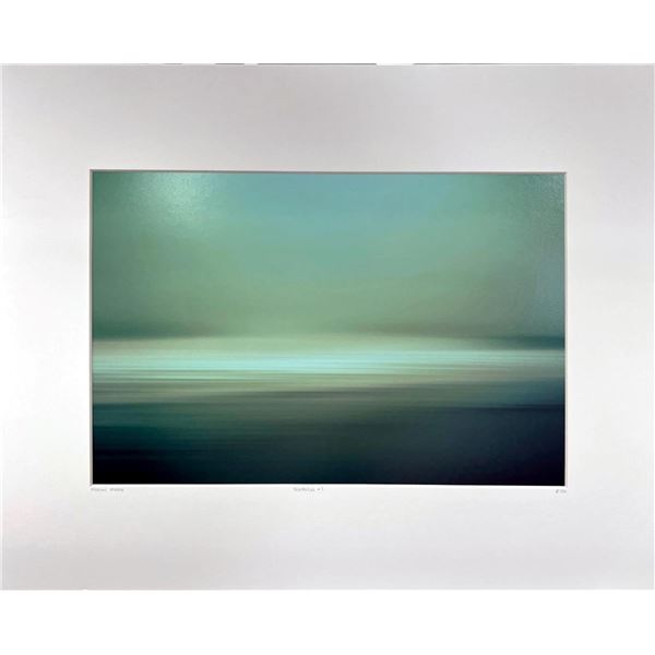 Florian Muller Transitus #3 Green Landscape Nature Beach