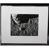 Image 1 : Edwin E Aldrin Pas sur la lune Apollo 11 NASA Space Moon Moon