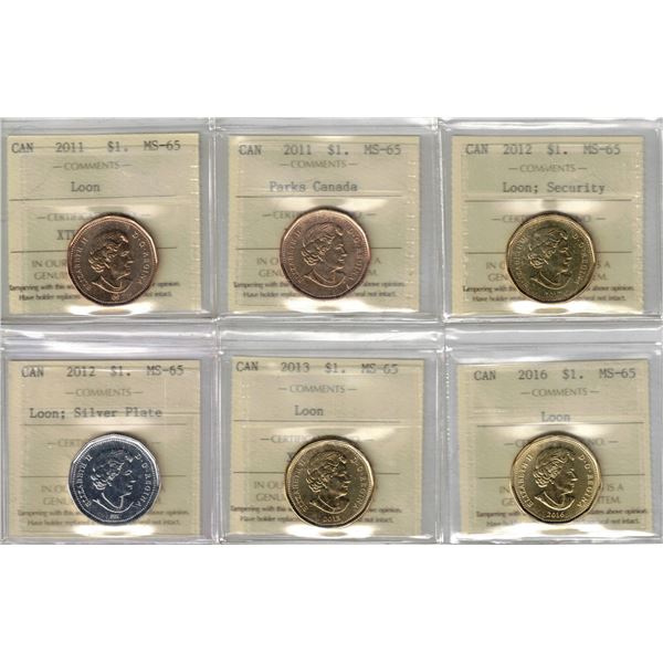 Lot of 6 ICCS Graded Loon Dollars 2011-2011-2012-2012-2013-2016