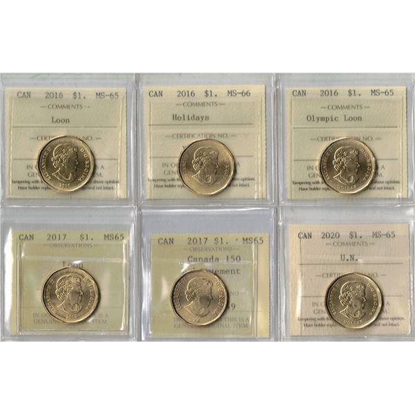 Lot of 6 PCCS, ICCS Graded Loon Dollars 3 x 2016, 2 x 2017, 1 x 2020