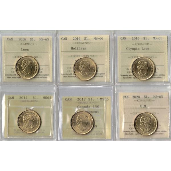 Lot of 6 PCCS, ICCS Graded Loon Dollars 3 x 2016, 2 x 2017, 1 x 2020